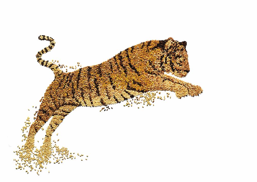 David-arky_wwf_tiger