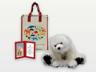Adopt a Polar Bear