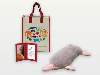 Adopt a River Dolphin