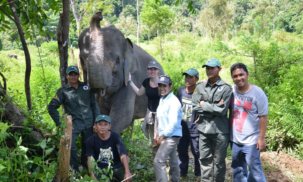 Learning to Live in Harmony with Asian Elephants | Stories | WWF