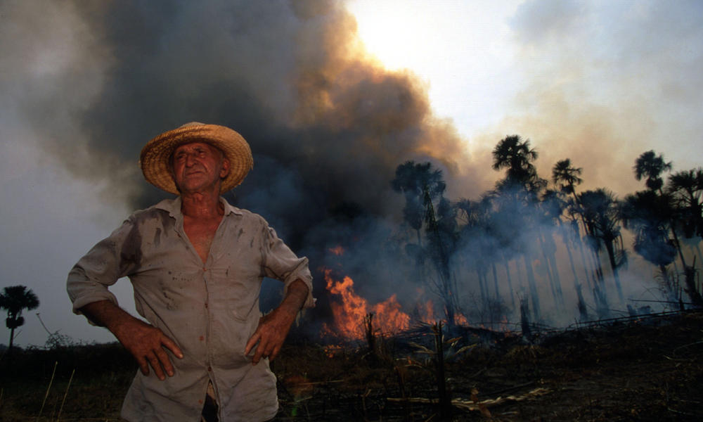 deforestation fire