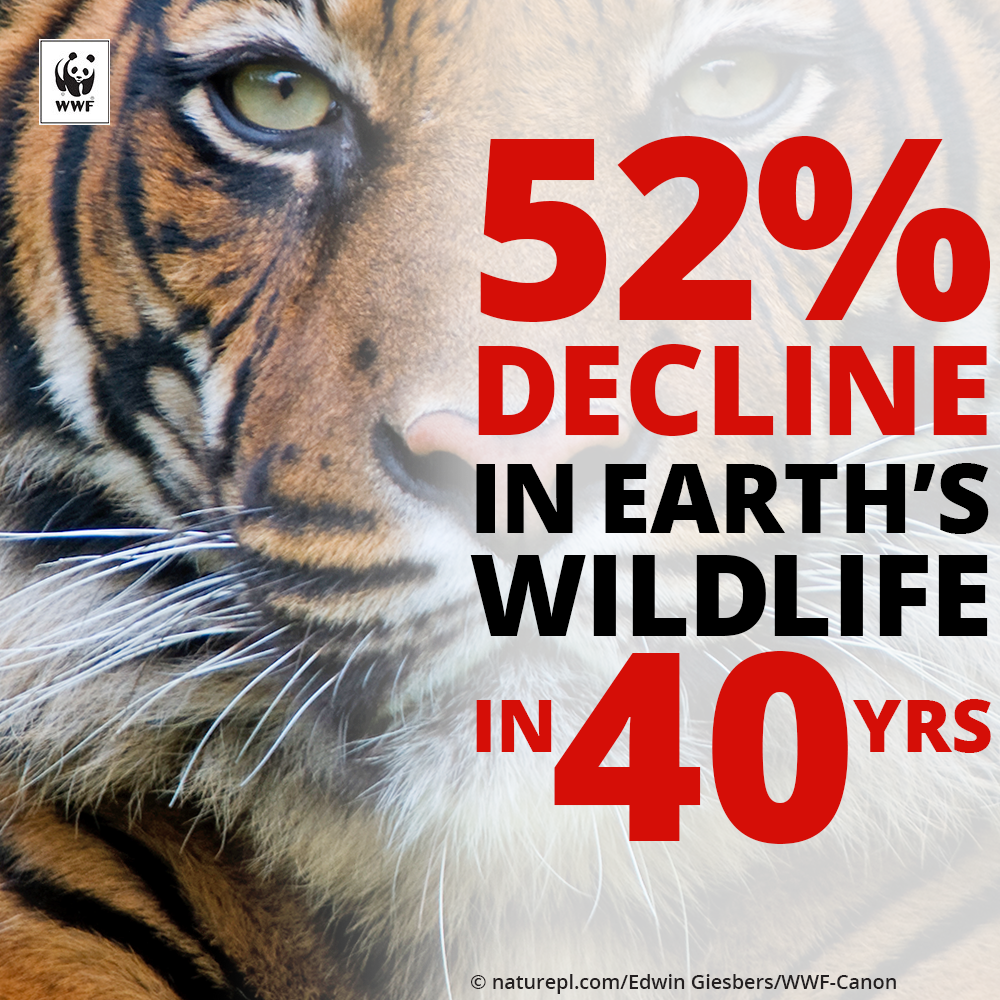 Half of Global Wildlife Lost, says new WWF Report Press Releases WWF