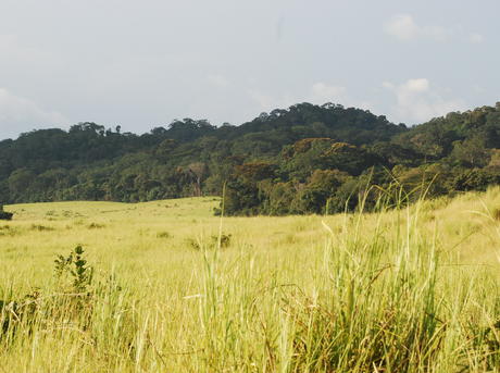 Gabon