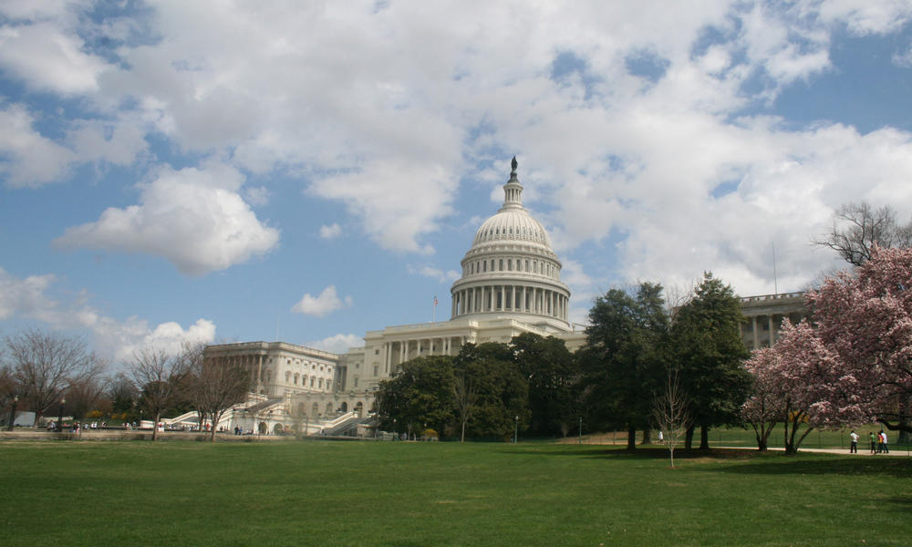 U.S. Capitol