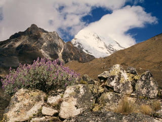 Chopicalqui mountain