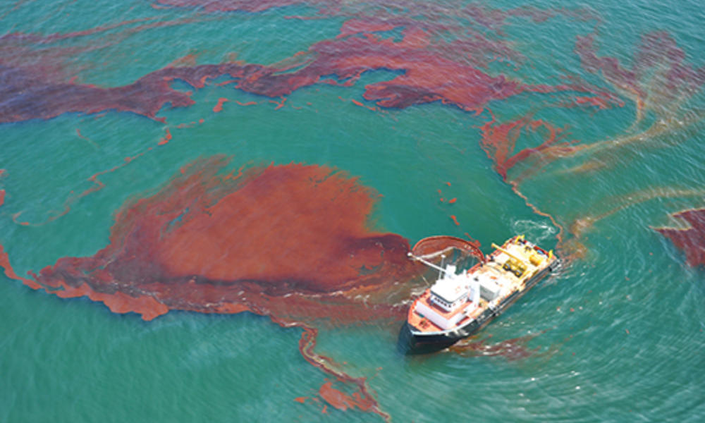 Five Years After Deepwater Horizon Spill Stories Wwf