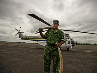 Stop Wildlife Crime