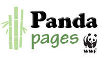 Panda Pages Logo