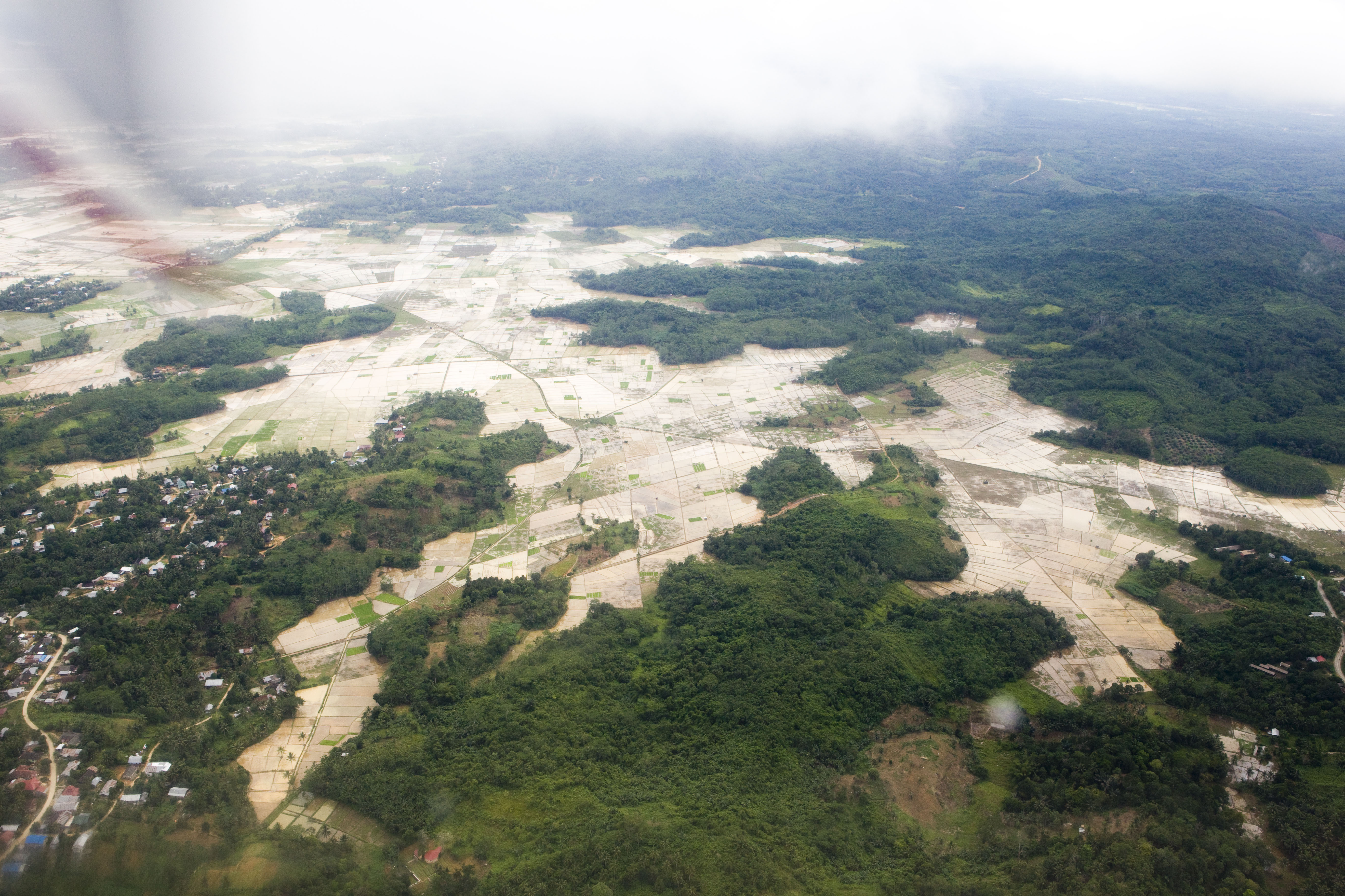 Deforestation Threats WWF