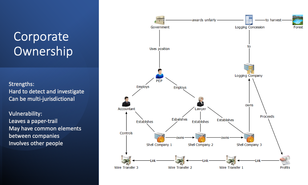 Corporate ownership model