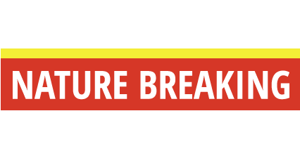 Nature Breaking logo