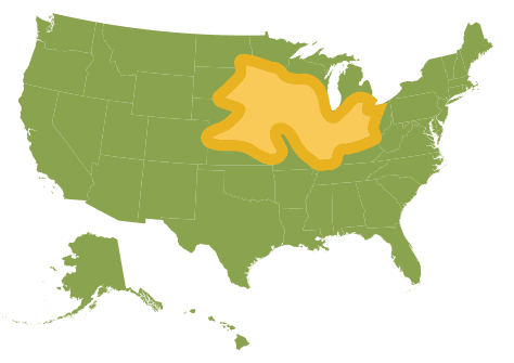 Corn Map WWsummer2024