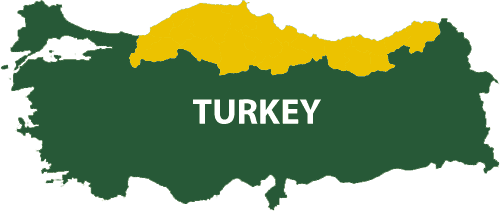 Hazelnuts turkey map WWspring2021