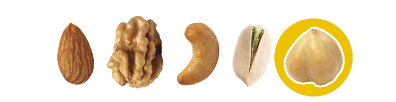 Hazelnuts WWspring2021