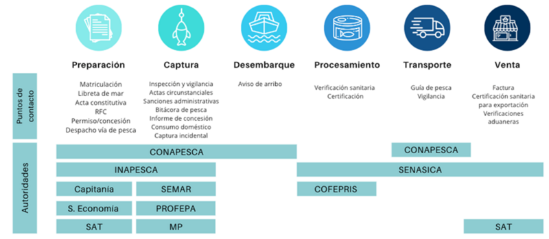 Mexico case study - Figure 1