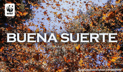 ecard espanol Buena Suerte