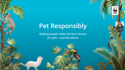 Pet Responsibly