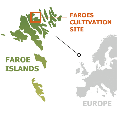Faroes map WWspring2021