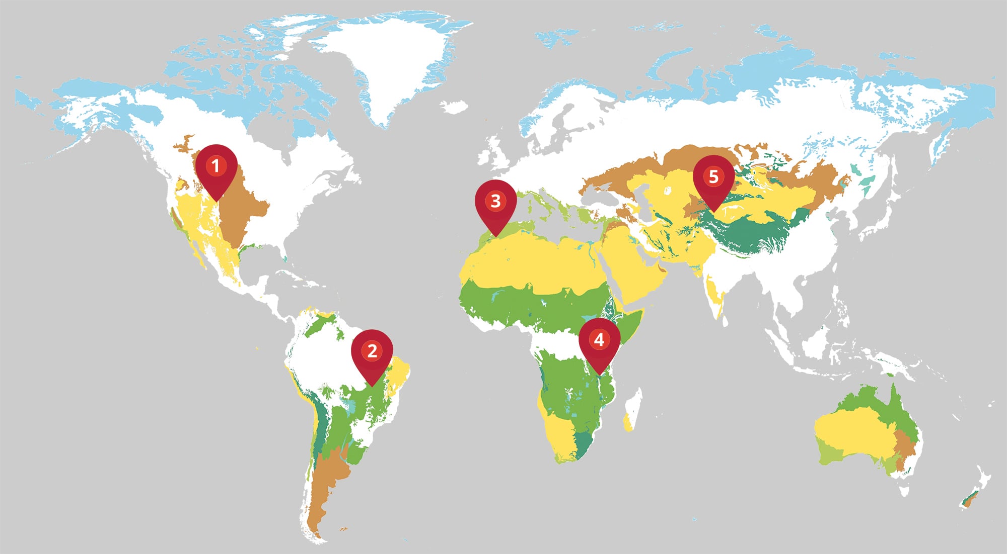 Global rangelands map WWspring2022