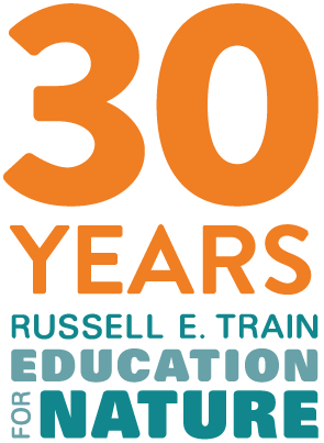 EFN 30 Year Anniverary logo