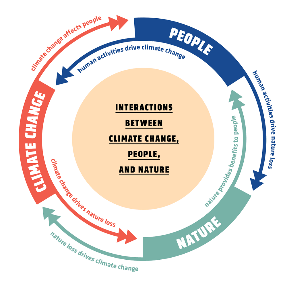 Nature-based graphic wheel WWsummer2022
