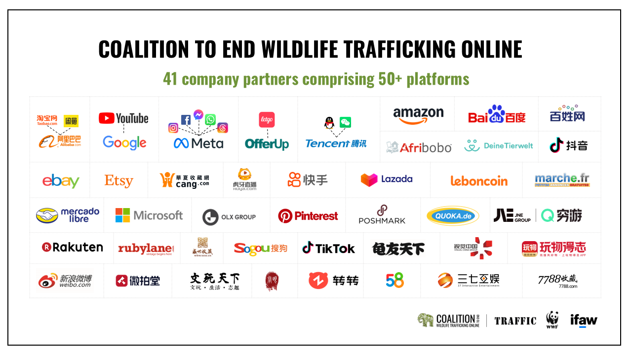Coalition to End Trafficking Online Logos