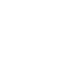 Sea turtle infographic silhouette flatback