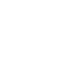 Sea turtle infographic silhouette green