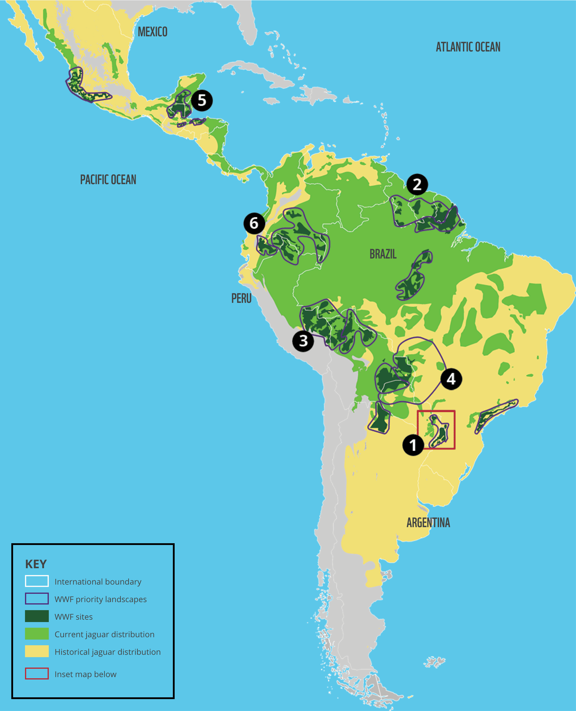 Jaguar map large WWfall2021