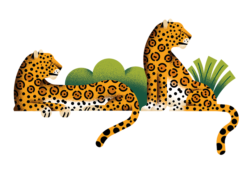 Jaguars resting spot illustration WWfall2021