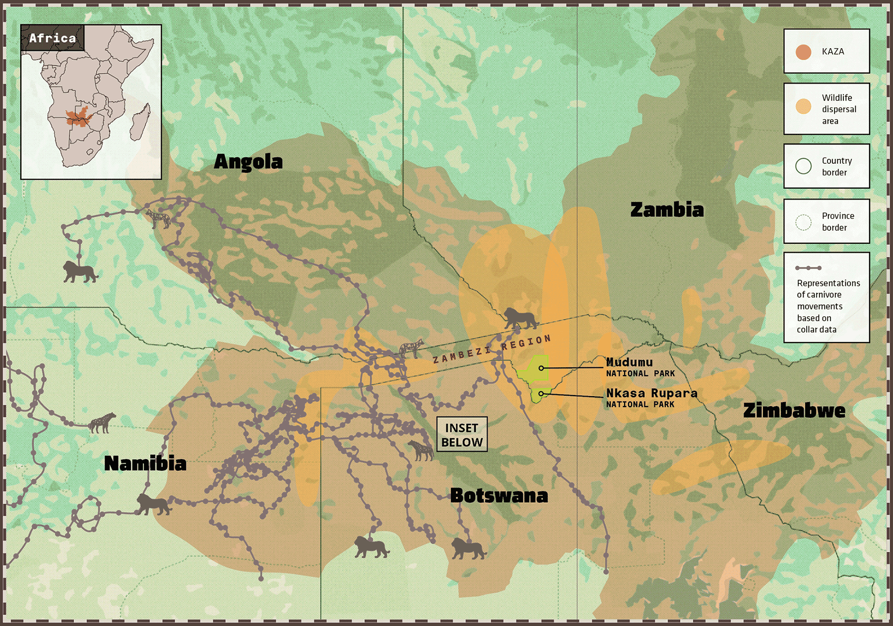 KAZA carnivore range map 2026