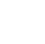 Sea turtle infographic silhouette loggerhead