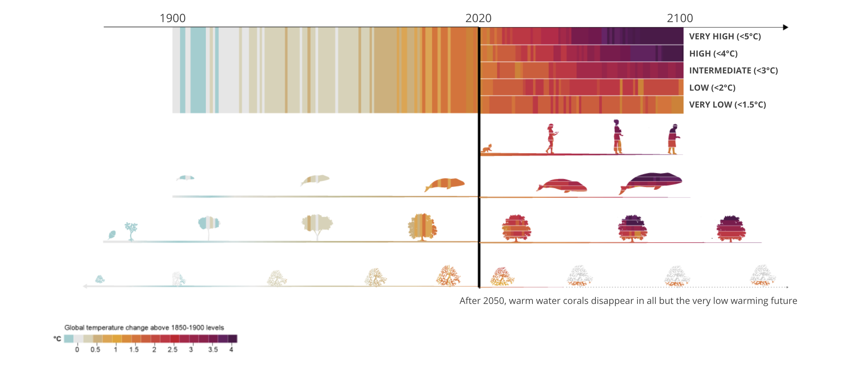 IPCC report timeline