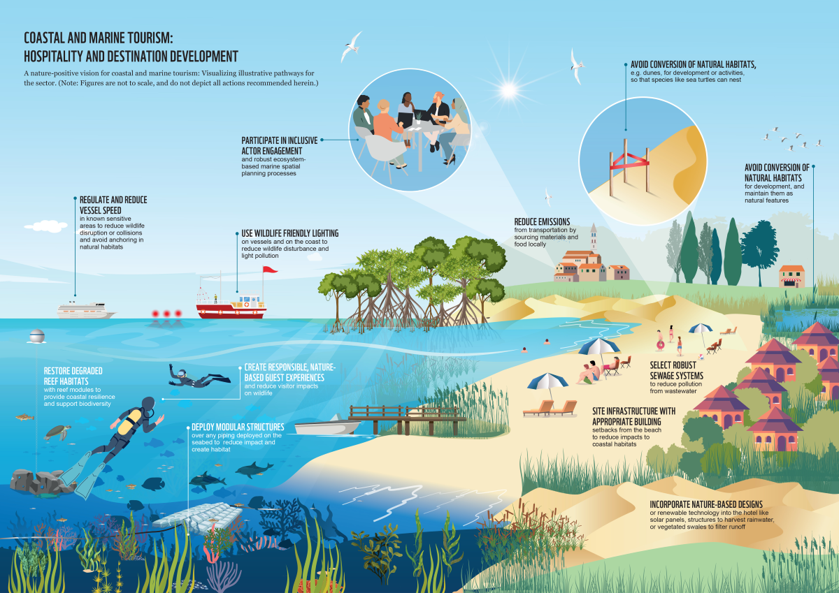 Ocean-Positive Coastal and Marine Tourism