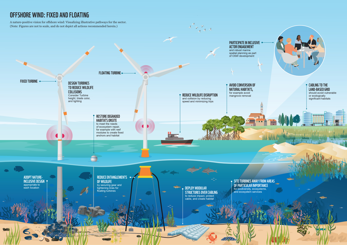 nature positive ocean infrastructure - offshore wind
