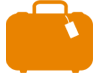 Sea turtle infographic suitcase