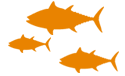Sea turtle infographic tuna