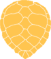 Sea turtle infographic shell