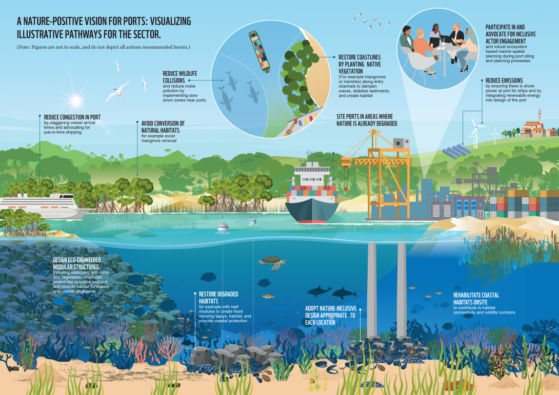 Nature positive ocean pathways _ ports infrastructure