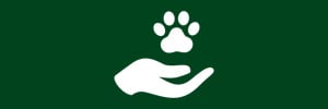 Animal welfare low risk