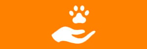 Animal welfare moderate risk