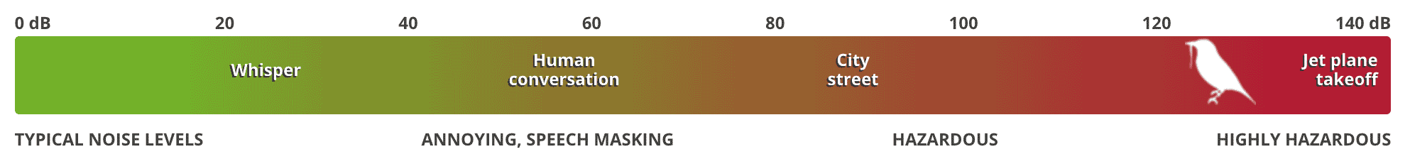 Bellbird scale WWwinter2021
