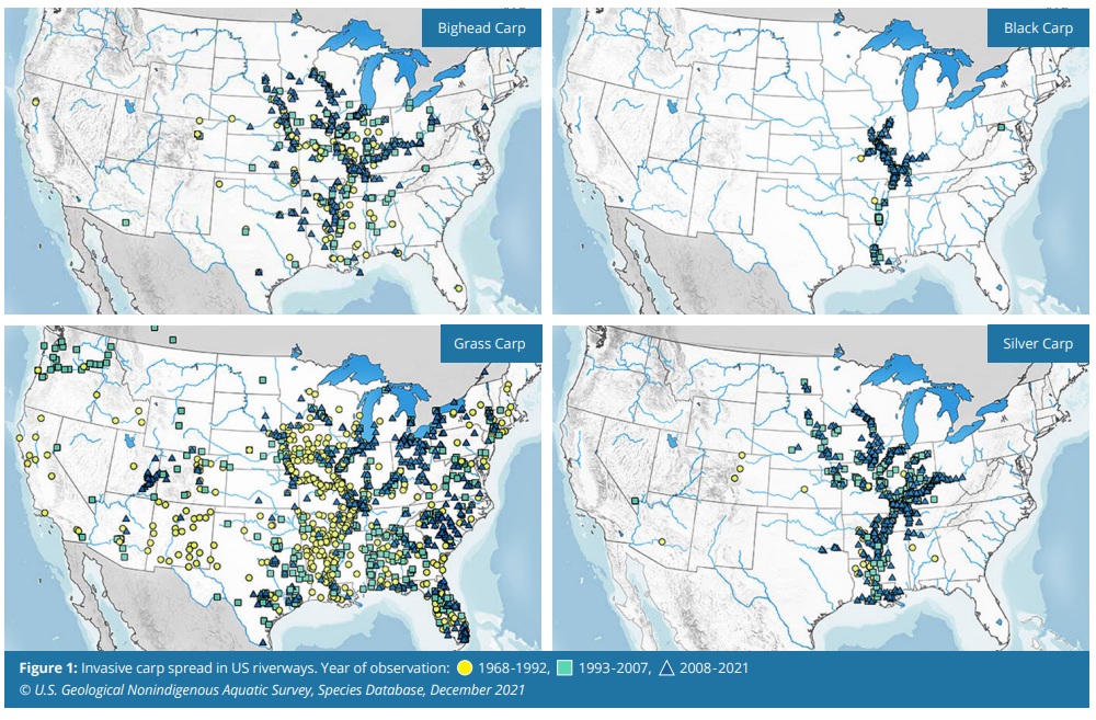 Invasive carp proliferation map