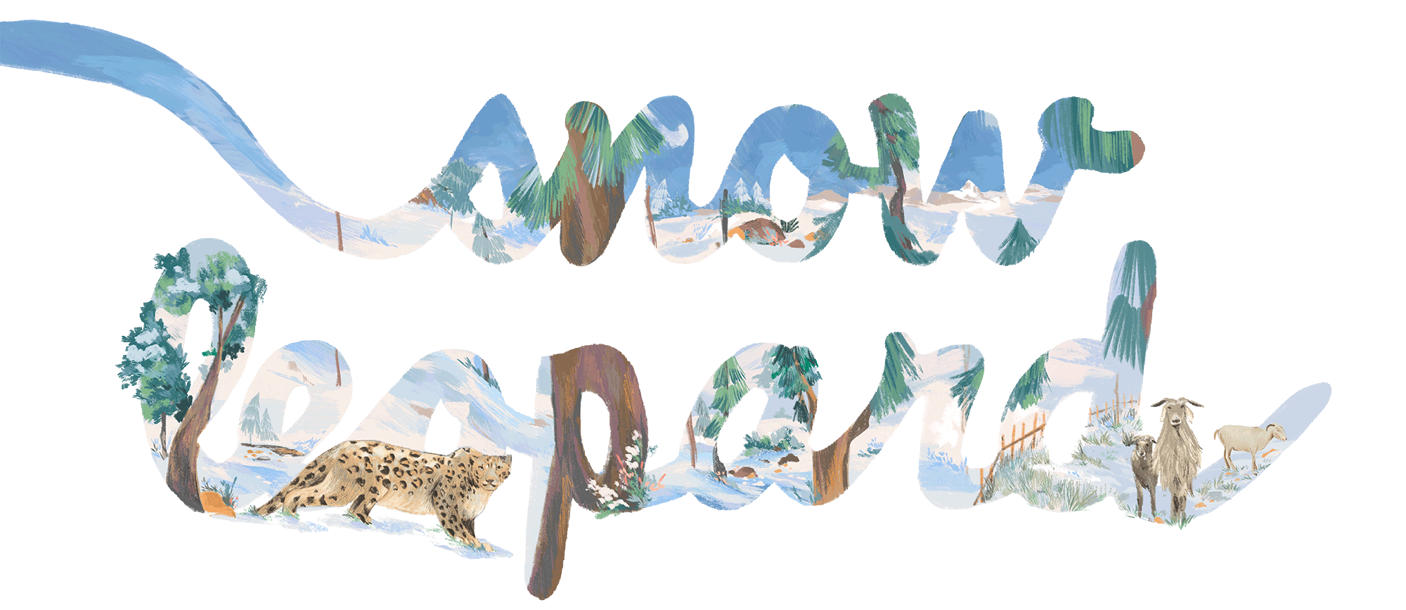 snow leopard head feature WWspring2023