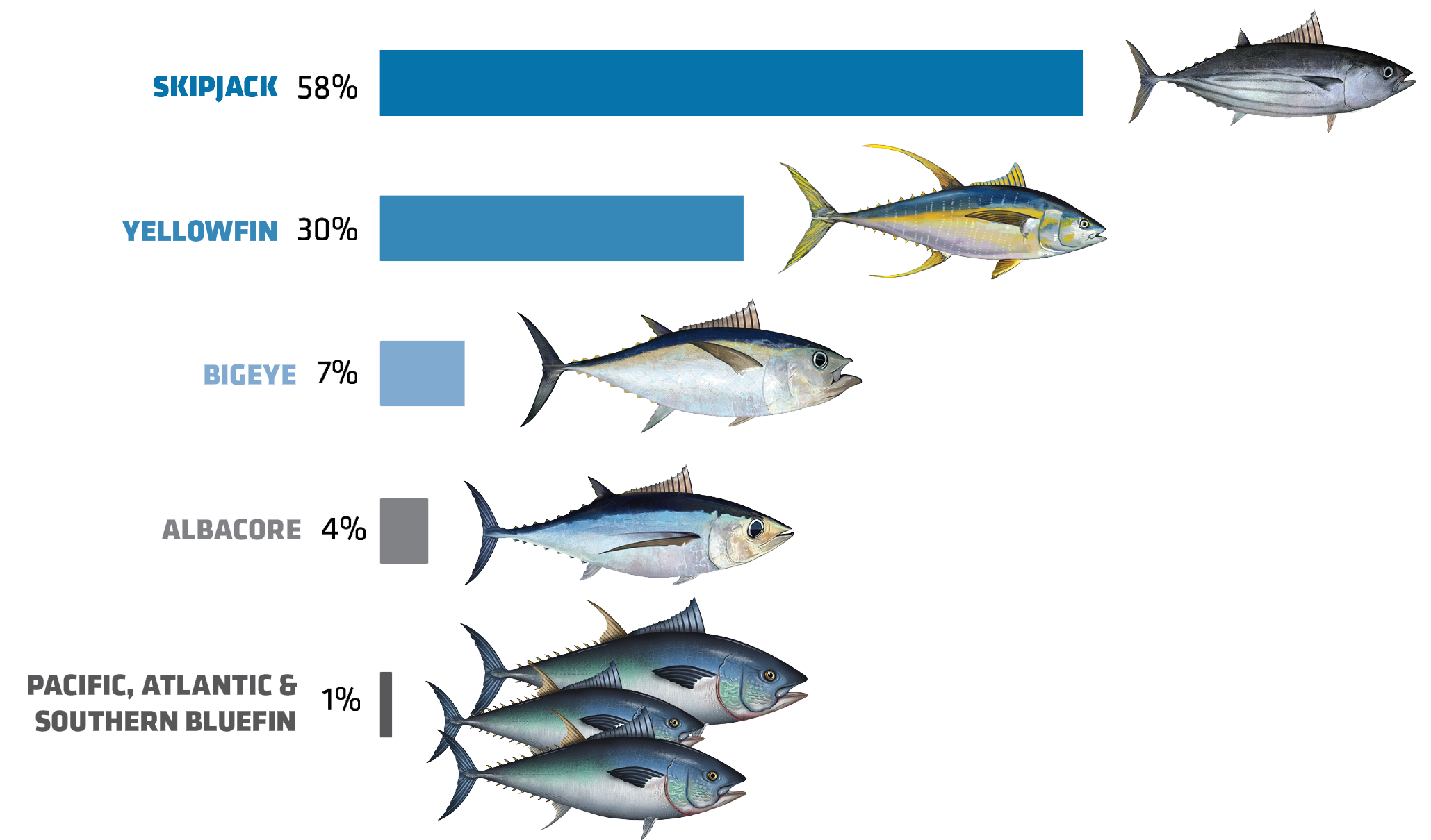Global catch by species WWfall2026