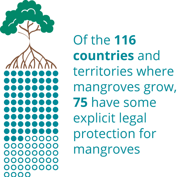 Mangroves graphic WWsummer2026
