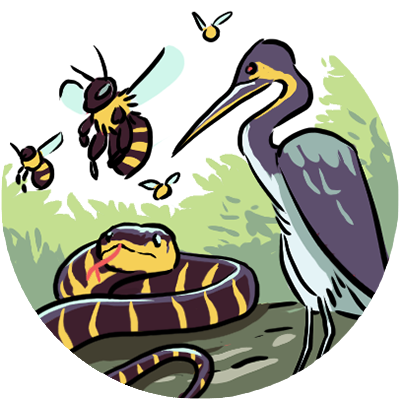 Mangrove icons, bees, snake, heron