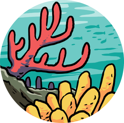 Mangroves illustration icons coral and reefs
