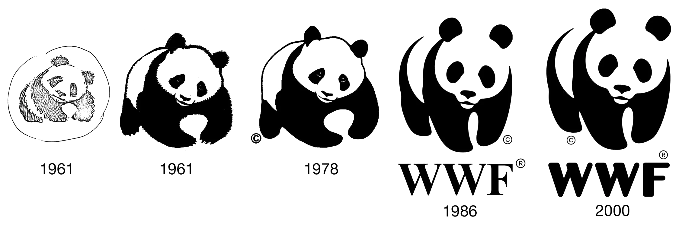 evolution of panda logo invis bg