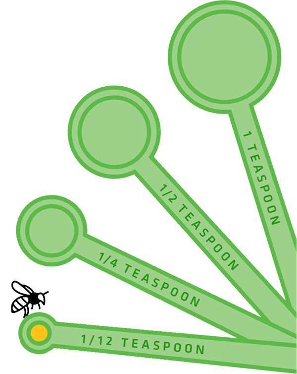 Honey teaspoon WWspring2022